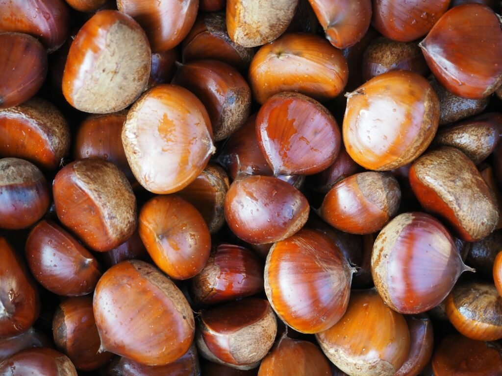 Kestane